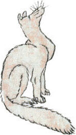 Мир в капле дождя. Осень. Зима. Хайку на все времена - i_118.jpg