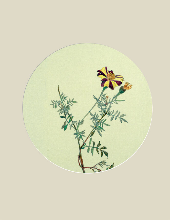 Мир в капле дождя. Осень. Зима. Хайку на все времена - i_122.jpg