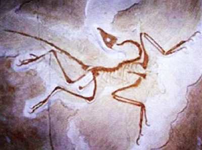 «Наука и Техника» [журнал для перспективной молодежи], 2007 № 11 (18) - _00.jpg_9