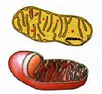«Наука и Техника» [журнал для перспективной молодежи], 2007 № 11 (18) - _01.jpg_10
