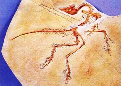 «Наука и Техника» [журнал для перспективной молодежи], 2007 № 11 (18) - _01.jpg_8