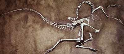 «Наука и Техника» [журнал для перспективной молодежи], 2007 № 11 (18) - _02.jpg_9