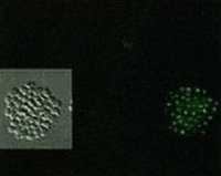 «Наука и Техника» [журнал для перспективной молодежи], 2007 № 11 (18) - _03.jpg_10