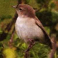 «Наука и Техника» [журнал для перспективной молодежи], 2007 № 11 (18) - _05.jpg_8