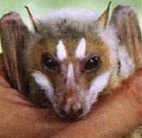 «Наука и Техника» [журнал для перспективной молодежи], 2007 № 11 (18) - _06.jpg_7