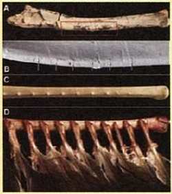 «Наука и Техника» [журнал для перспективной молодежи], 2007 № 11 (18) - _07.jpg_7