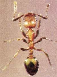 «Наука и Техника» [журнал для перспективной молодежи], 2007 № 11 (18) - _11.jpg_5