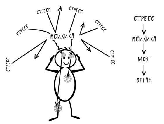Доказательная психосоматика со справочником. Факты и научный подход. Очень полезная книга для всех, кто думает о здоровье - i_002.jpg