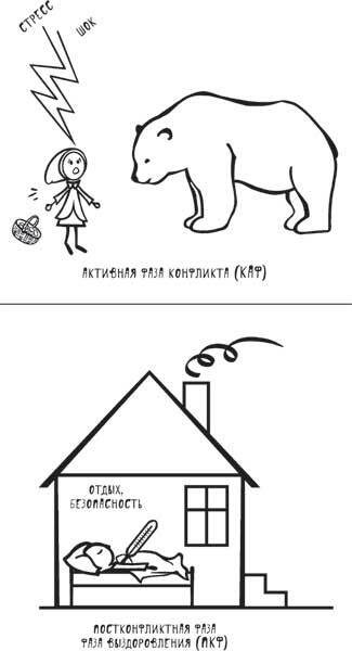 Доказательная психосоматика со справочником. Факты и научный подход. Очень полезная книга для всех, кто думает о здоровье - i_003.jpg