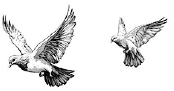 Комикс - i_008.png