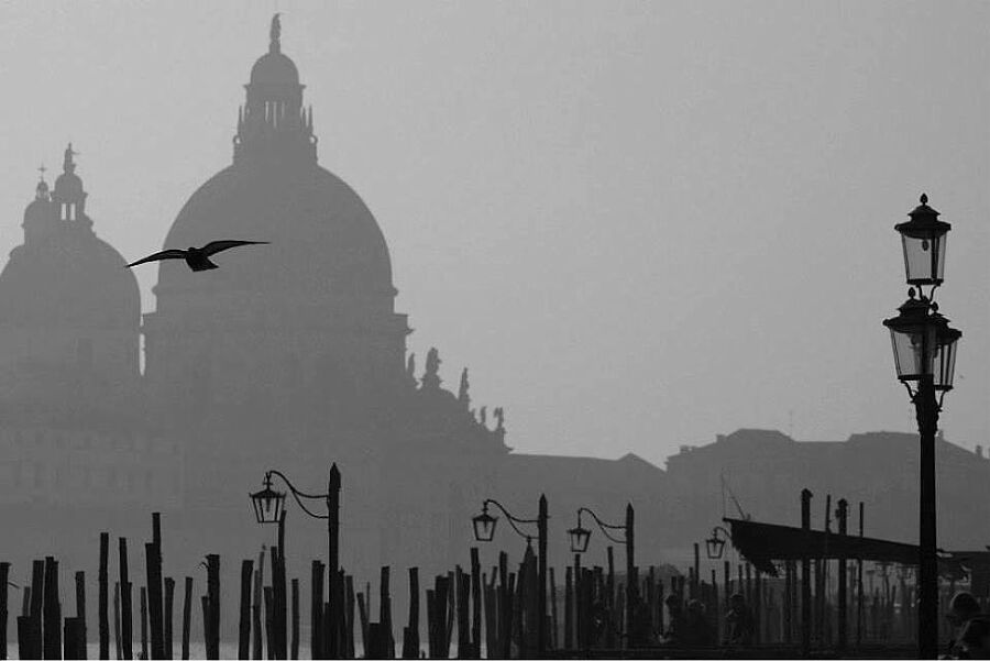 Вкусная Венеция. Любовь, еда и тайны Северной Италии - i_001.jpg