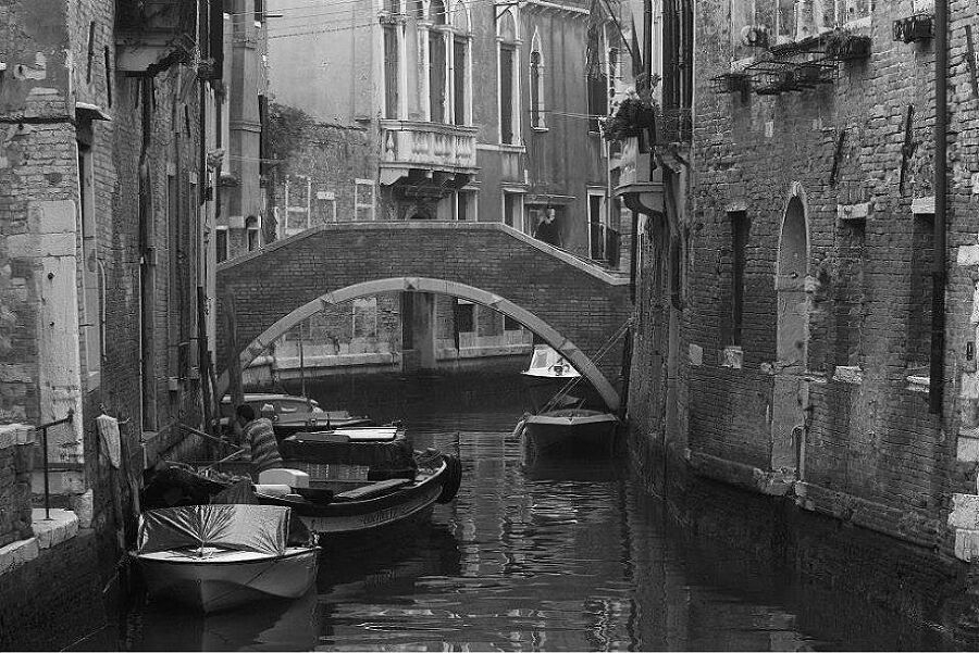 Вкусная Венеция. Любовь, еда и тайны Северной Италии - i_003.jpg