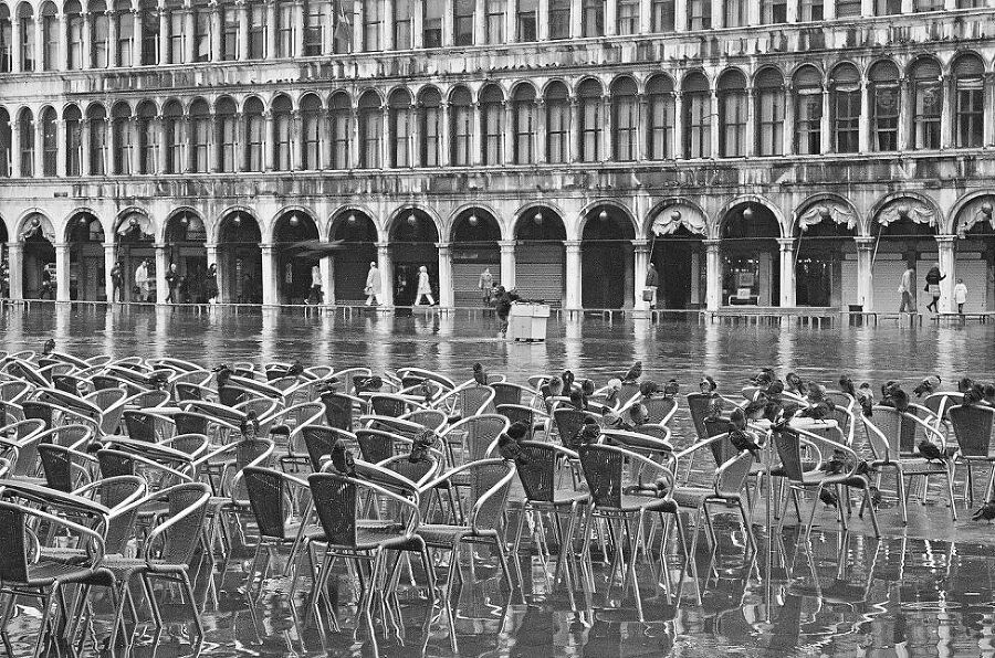 Вкусная Венеция. Любовь, еда и тайны Северной Италии - i_009.jpg