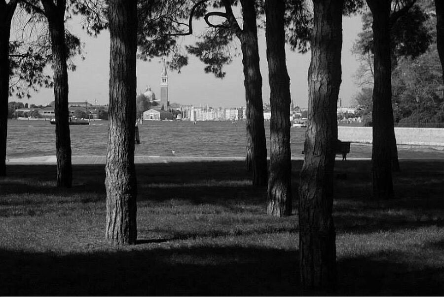 Вкусная Венеция. Любовь, еда и тайны Северной Италии - i_027.jpg