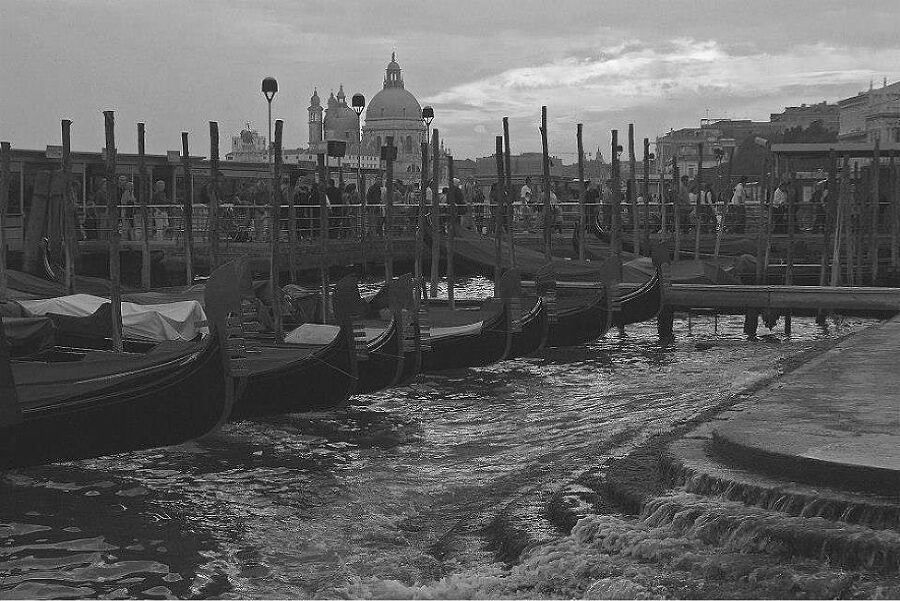 Вкусная Венеция. Любовь, еда и тайны Северной Италии - i_030.jpg