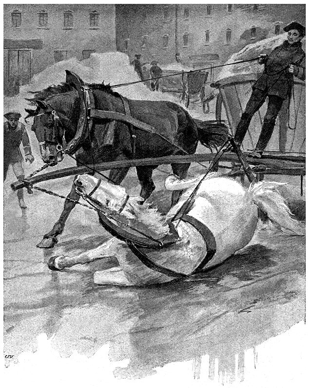 Ожерелье королевы. Анж Питу - i_008.jpg