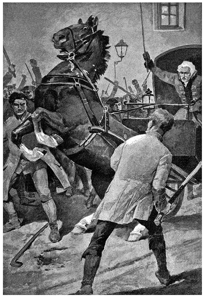 Ожерелье королевы. Анж Питу - i_012.jpg