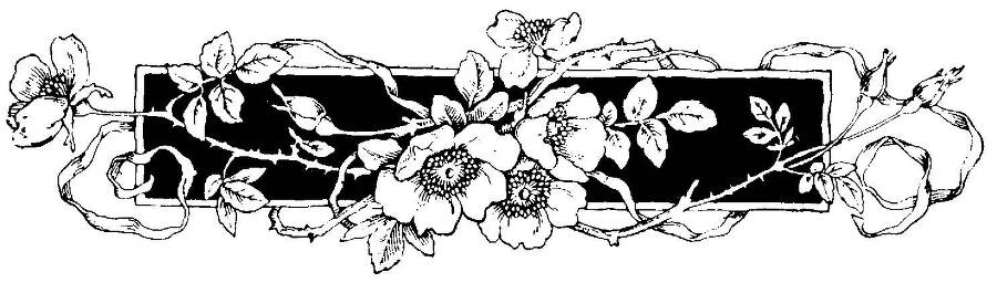 Земля воров (ЛП) - _1.jpg