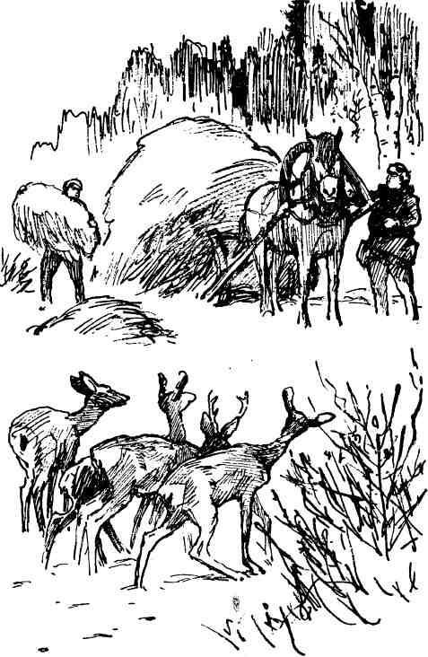 Кукуют кукушки - i_004.jpg