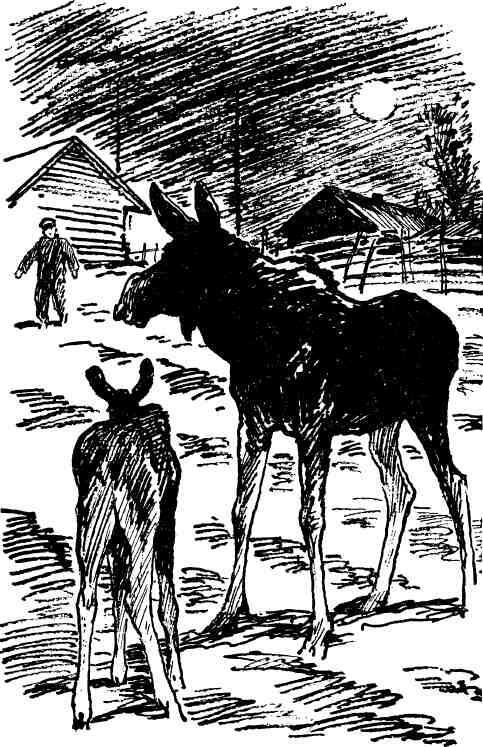 Кукуют кукушки - i_005.jpg