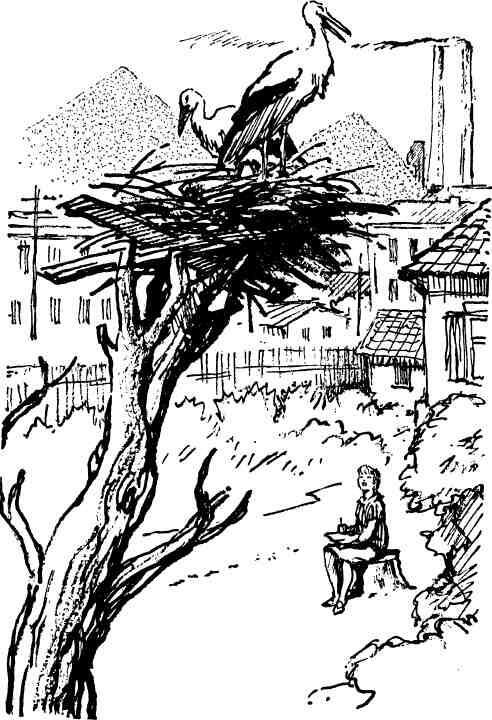 Кукуют кукушки - i_008.jpg