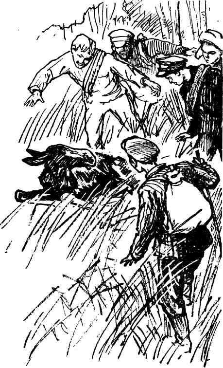 Кукуют кукушки - i_011.jpg