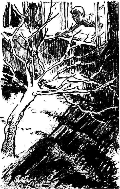 Кукуют кукушки - i_017.jpg