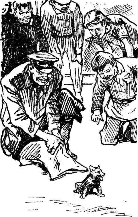 Кукуют кукушки - i_019.jpg