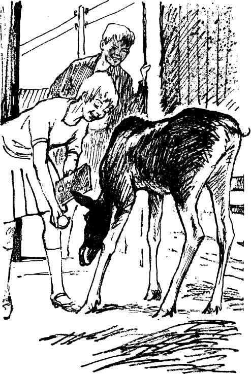 Кукуют кукушки - i_020.jpg