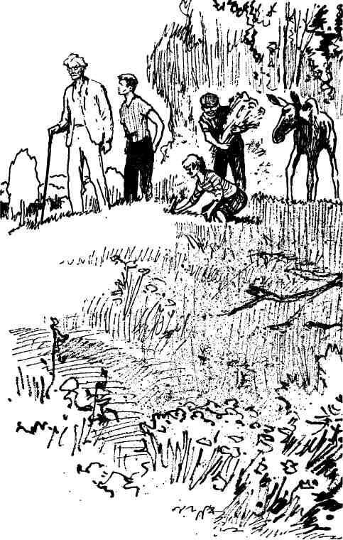 Кукуют кукушки - i_021.jpg