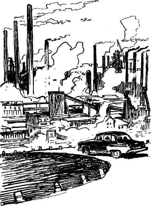 Кукуют кукушки - i_025.jpg