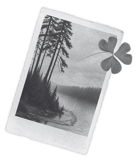 Игра с неизвестными - i_007.jpg