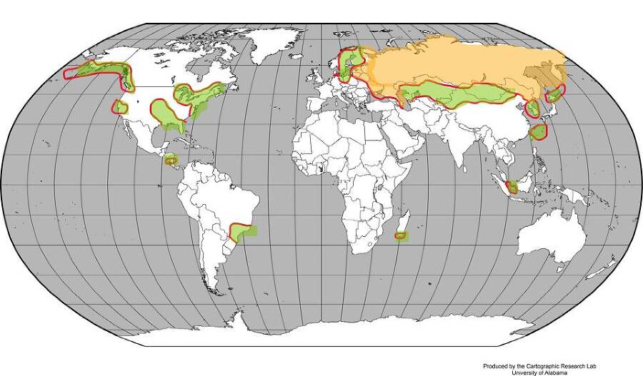 Потоп (СИ) - i_041.png