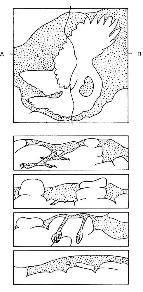 Эпоха провода и струны - dqipe80rv314.jpeg