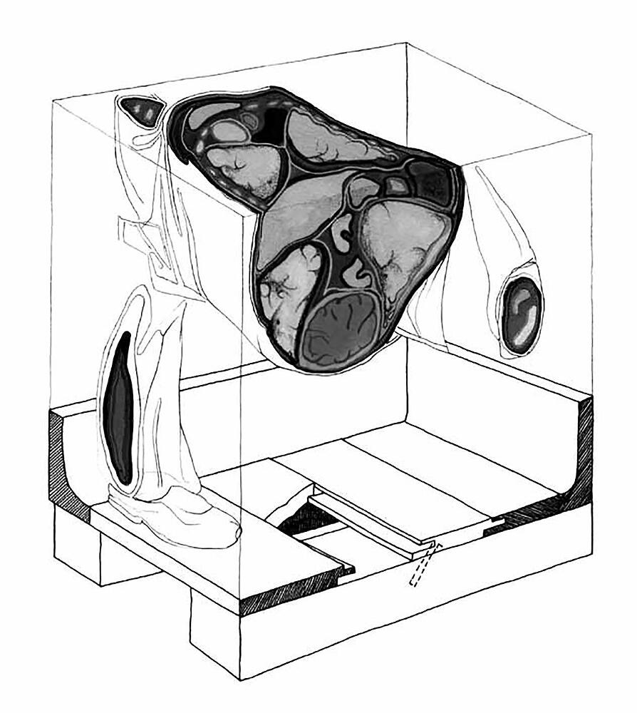 Эпоха провода и струны - dqipe80rv32f.jpeg