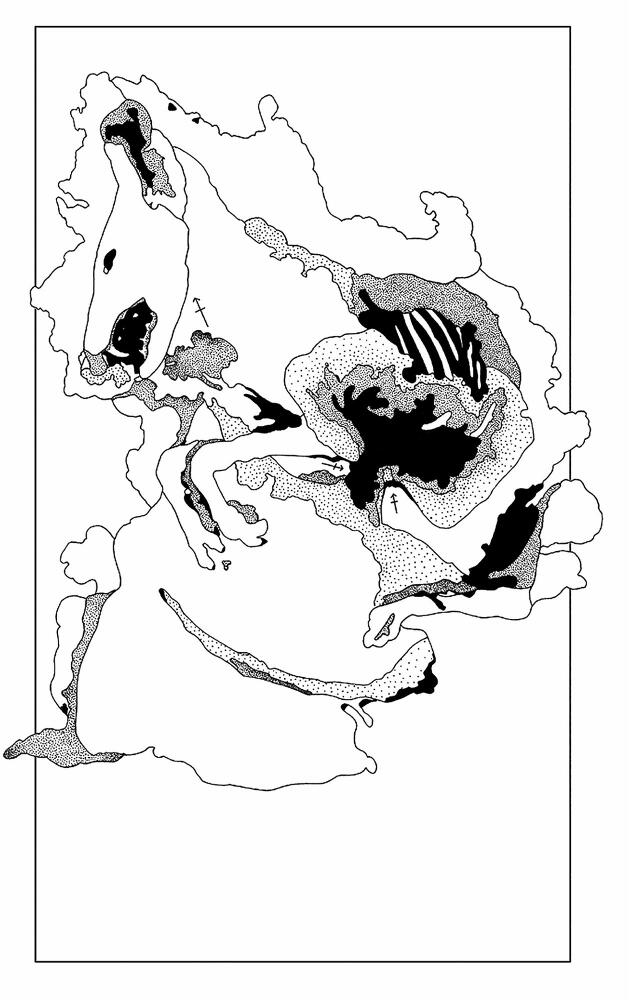 Эпоха провода и струны - dqipe80rv31b.jpeg