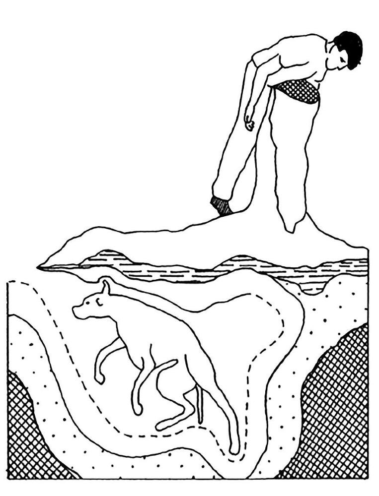 Эпоха провода и струны - dqipe80rv31n.jpeg