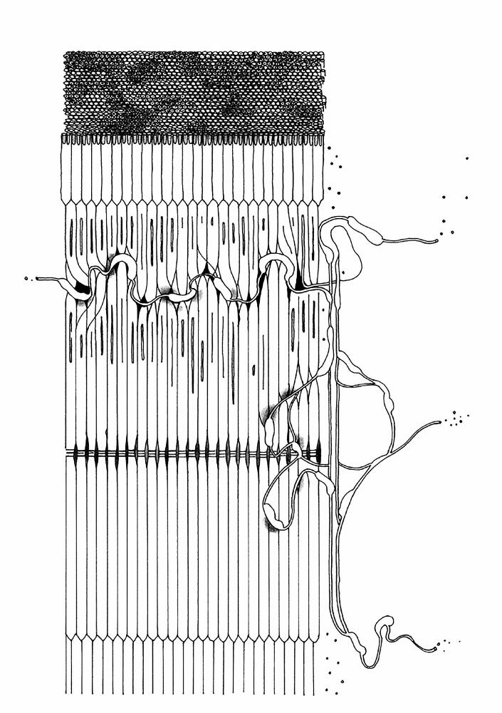 Эпоха провода и струны - dqipe80rv32k.jpeg
