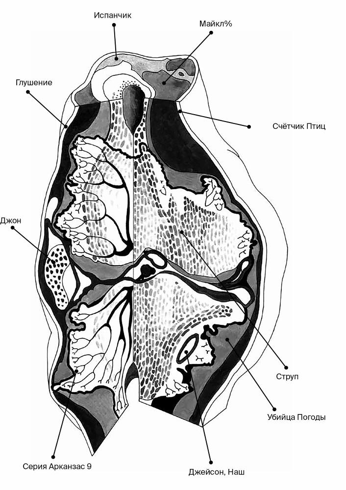 Эпоха провода и струны - dqipe80rv32l.jpeg