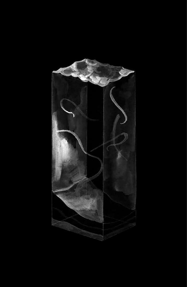 Эпоха провода и струны - dqipe80rv32o.jpeg_0