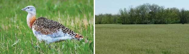 Провал (СИ) - _0104.jpg