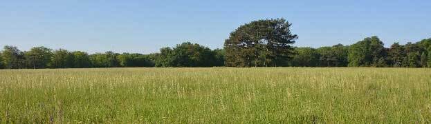 Провал (СИ) - _0408.jpg