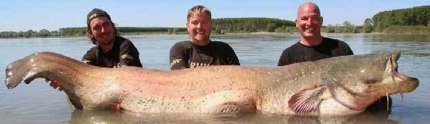 Провал (СИ) - _1102.jpg