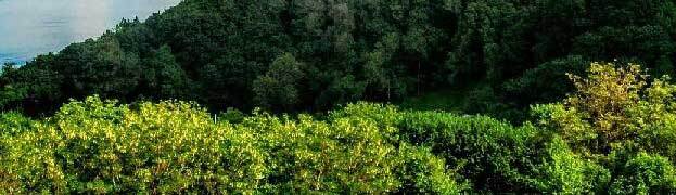 Провал (СИ) - _2002.jpg