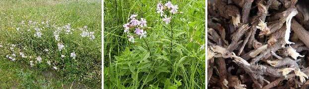 Провал (СИ) - _2006.jpg