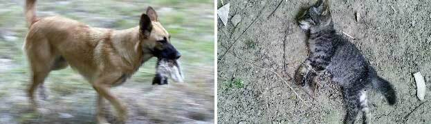 Провал (СИ) - _2101.jpg