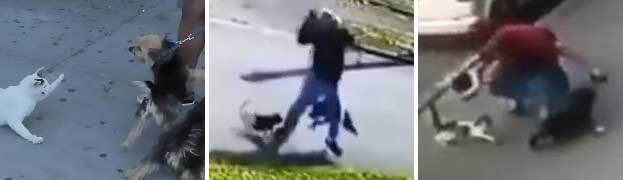 Провал (СИ) - _2103.jpg