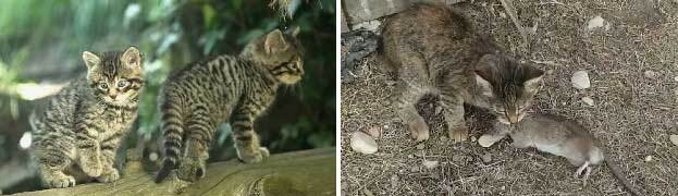 Провал (СИ) - _2104.jpg