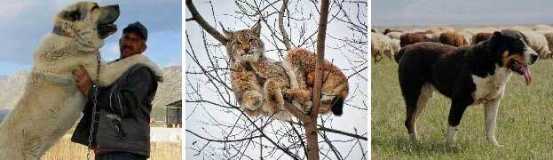 Провал (СИ) - _2106.jpg