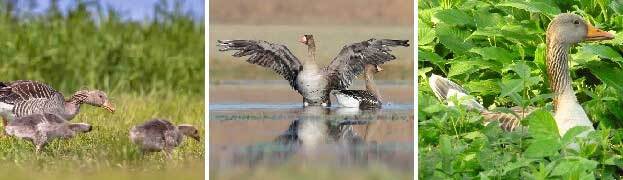 Провал (СИ) - _2109.jpg